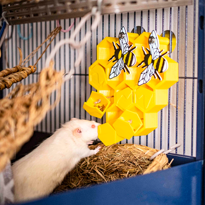 Brinquedo interativo amarelo em forma de colmeia com abelhas e rato branco numa gaiola