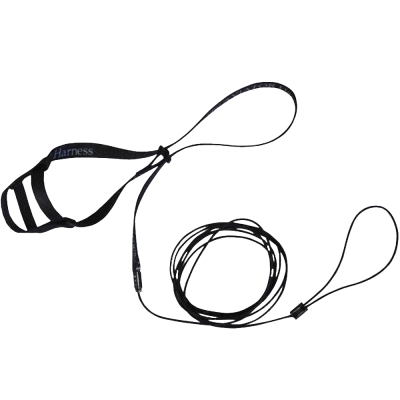 Coleira preta de nylon com alça para mão e argolas