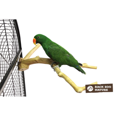 Galho natural para pássaros com suporte metálico e uma garça verde com bico laranja