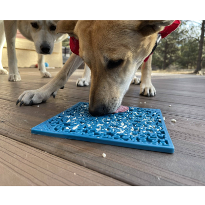 Cão a lamber comida num tapete azul texturizado em chão de madeira