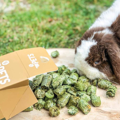 Pellets verdes para coelhos com embalagem aberta e um coelho a comer ao lado