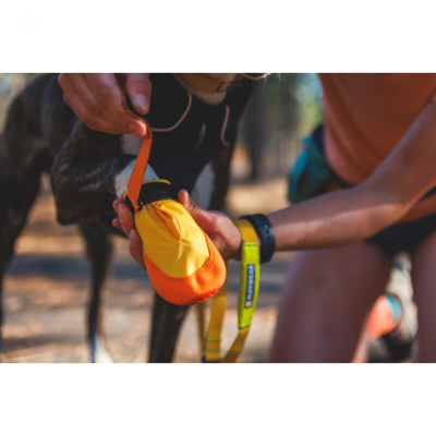 Capa protetora de pata para cão amarelo e laranja sendo colocada em pata de cão, pessoa agachada ao fundo