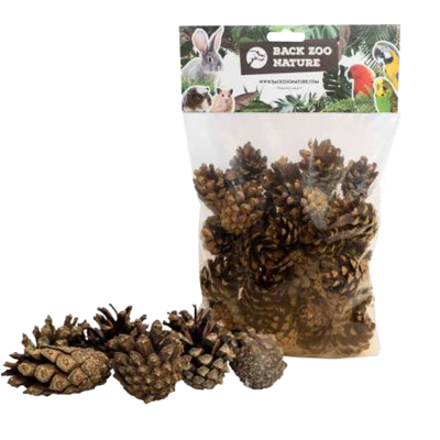 Sacos transparentes com pinhas naturais e rótulo colorido Back Zoo Nature