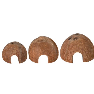 Três cascas de coco com aberturas na base, castanhas e naturais