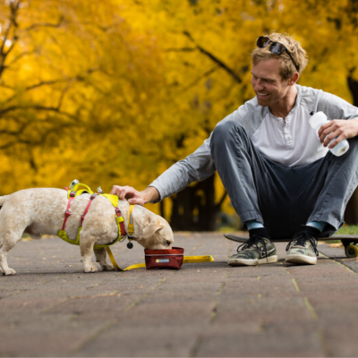 Homem sentado a alimentar cão com peitoral colorido em parque com árvores amarelas