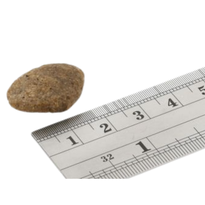 Pedra castanha ao lado de régua branca com números visíveis.