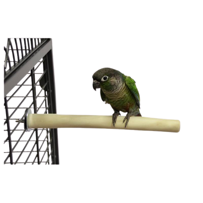 Pássaro verde e castanho num poleiro bege junto a uma gaiola de metal cinzento