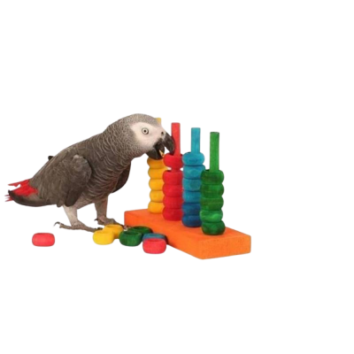 Papagaio cinzento com cauda vermelha perto de brinquedo de encaixe de anéis coloridos