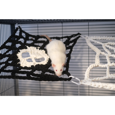 Rato branco numa rede de cabo preto dentro de gaiola