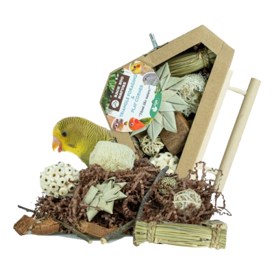 Conjunto de brinquedos naturais para pássaros com materiais diversos e etiqueta colorida