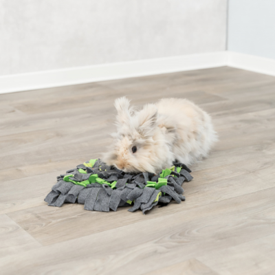 Coelho a brincar com tapete cinza escuro e verde claro num chão de madeira clara.