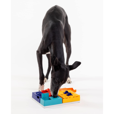 Cão preto brincando com jogos interativos coloridos para cães
