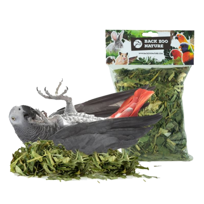 Pacote de alimento seco para animais com folhas verdes e papagaio cinzento de penas vermelhas.