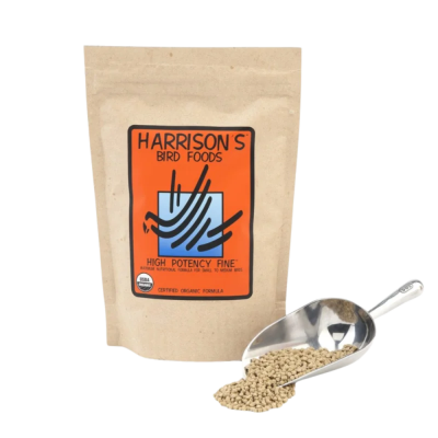 Sacola de ração para pássaros e pá metálica com grãos