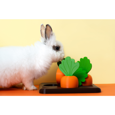 Coelho branco perto de brinquedo de madeira com cenouras coloridas