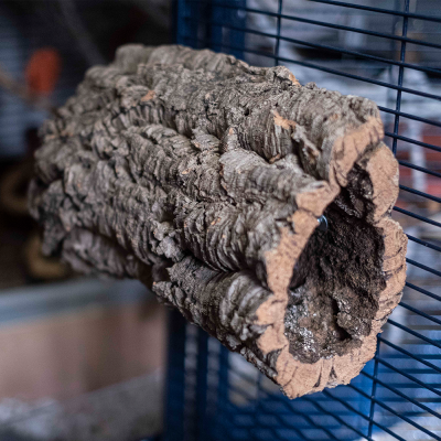 Tubo decorativo de cortiça com textura rugosa numa gaiola azul