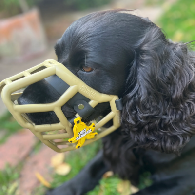 Cão preto com focinheira de plástico bege com pendente amarelo em forma de banana