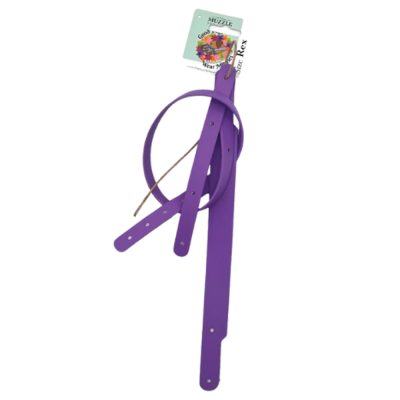 Coleira e trela roxas para cão com etiqueta da marca MUZZLE.