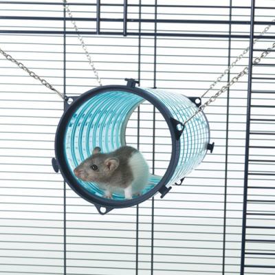 Túnel suspenso azul para roedores com rato dentro numa gaiola preta