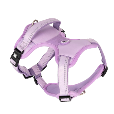 Peitoral para cão lilás com fechos pretos e argola metálica