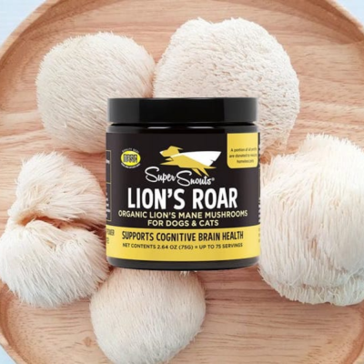 Frasco de suplemento com cogumelos Lions Mane sobre tábua de madeira