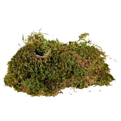 Moinho manual de café em cerâmica bege com partes em madeira castanha clara