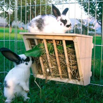 Cesto de madeira com feno para coelhos dentro de parque ao ar livre