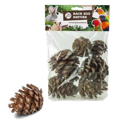 Saco de plástico com pinhas naturais e etiqueta BACK ZOO NATURE