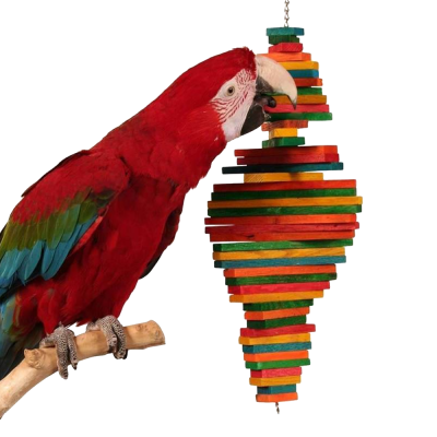 Papagaio vermelho, verde e azul com brinquedo pendente colorido