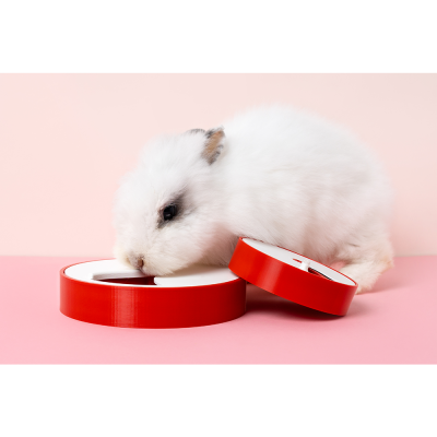 Coelho branco pequeno junto a duas bobinas vermelhas de fita adesiva em fundo rosa