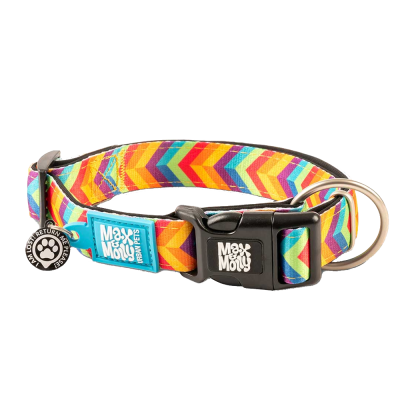 Coleira ajustável colorida para cão com padrão de setas e etiquetas 'Max & Molly'