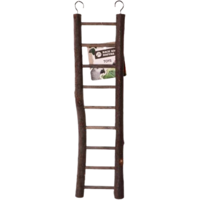 Escada de madeira natural com ganchos metálicos para pássaros