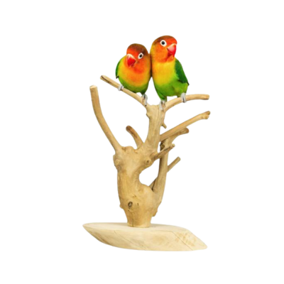 Duas aves coloridas empoleiradas em suporte de madeira seca.