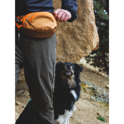 Pessoa com mochila laranja e cão preto com manchas castanhas e brancas ao lado em ambiente rochoso