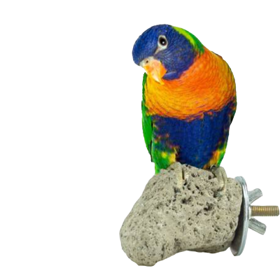 Pássaro colorido empoleirado numa pedra com parafuso e porca de metal