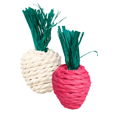 Dois brinquedos para animais em forma de cenoura feitos com corda trançada, um branco e outro vermelho com topo verde
