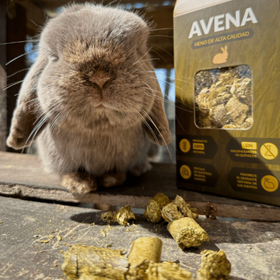 Caixa de feno de aveia com coelho e pellets rústicos