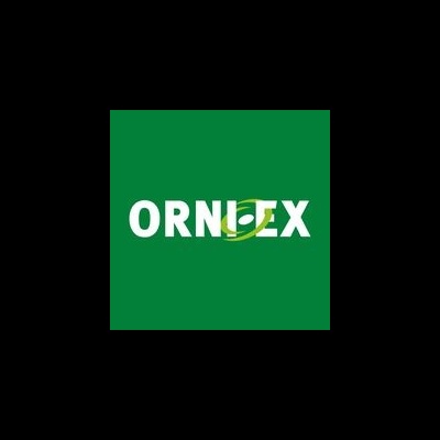 Logótipo ORNIDEX em fundo verde