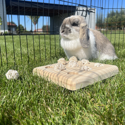 Coelho branco e cinzento com placa de madeira e bolas trançadas na relva