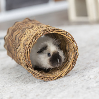 Coelho pequeno dentro de recipiente de rattan trançado castanho sobre superfície cinzenta.