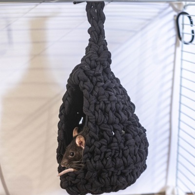 Capa trançada preta pendurada com rato dentro numa gaiola branca