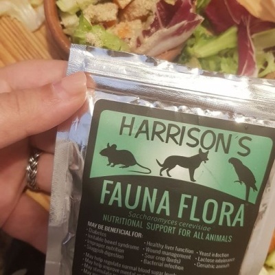 Saco do produto Harrison's Fauna Flora com rótulo verde e preto segurado diante de salada em recipiente sobre mesa de madeira