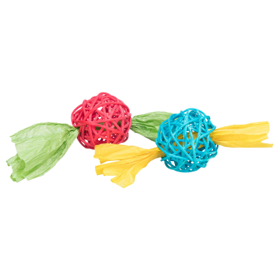 Dois brinquedos coloridos para animais, vermelho com verde e azul com amarelo.