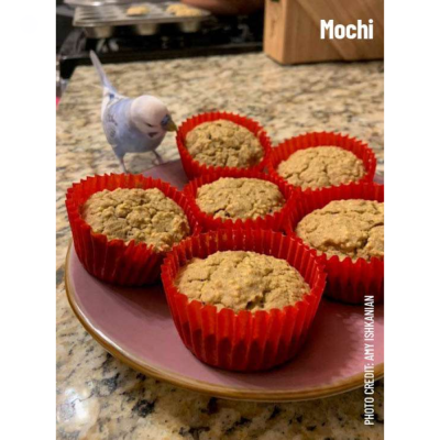Seis muffins em formas vermelhas numa placa rosa com um pássaro azul ao lado e o texto 'Mochi'