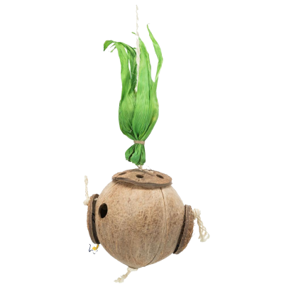 Brinquedo para pássaros de coco natural com cordas e folhas verdes