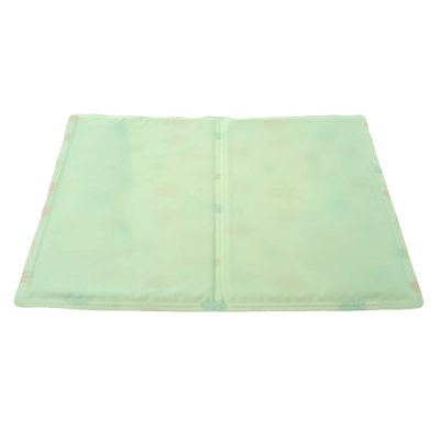 Estojo verde claro com fecho ao centro sobre fundo branco