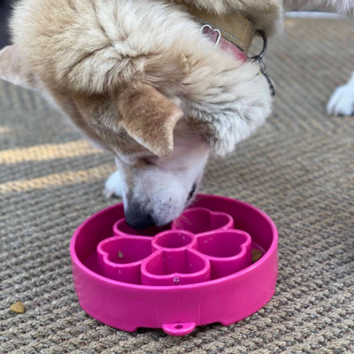 Comedouro lento cor de rosa para cães com compartimentos em forma de pétalas sobre tapete bege
