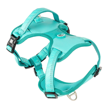 Peitoral turquesa para cão com fivelas pretas e argola metálica
