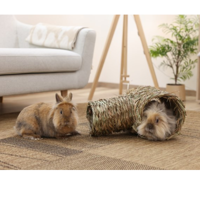 Dois coelhos num tapete geométrico, um dentro de túnel de fibra natural