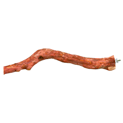 Galho seco de madeira com casca castanha avermelhada